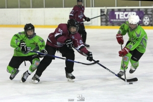 Foto: HB-Fotografie, H. Beck