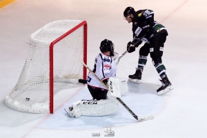 Foto: HB-Fotografie, H. Beck