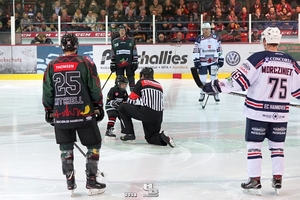 Foto: HB-Fotografie, H. Beck