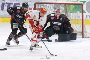 Crocodiles Hamburg vs. Saale Bulls Halle - Foto: HB-Fotografie, H. Beck
